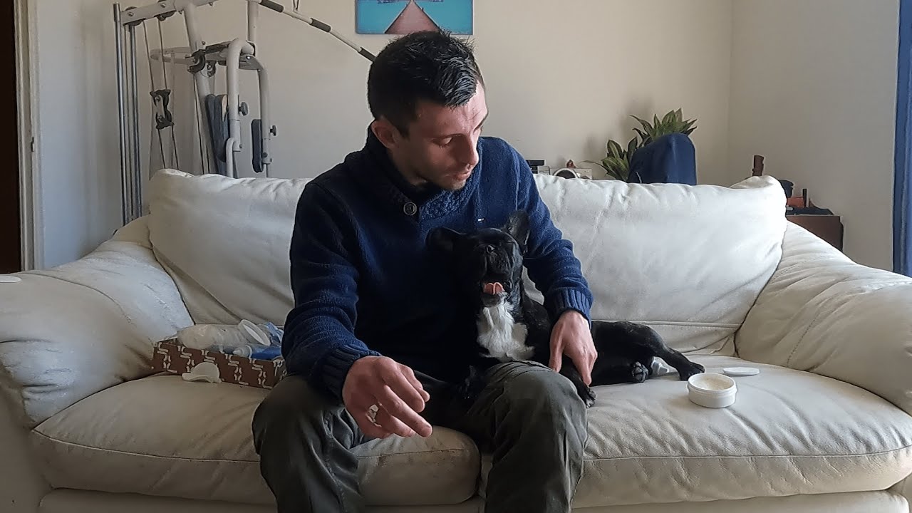 Comment entretenir son bouledogue français