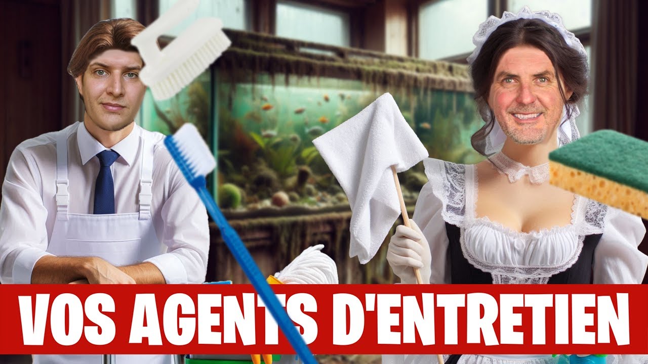 Les MEILLEURS espèces pour nettoyer votre aquarium !!🐠🦐🐌  - Floraquatic