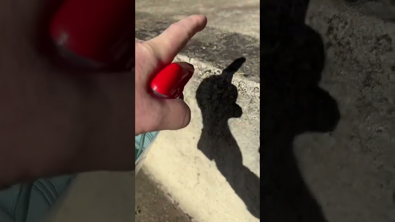 Adieu les taches sur le crépi : l'astuce que tout le monde devrait connaître ! #shorts