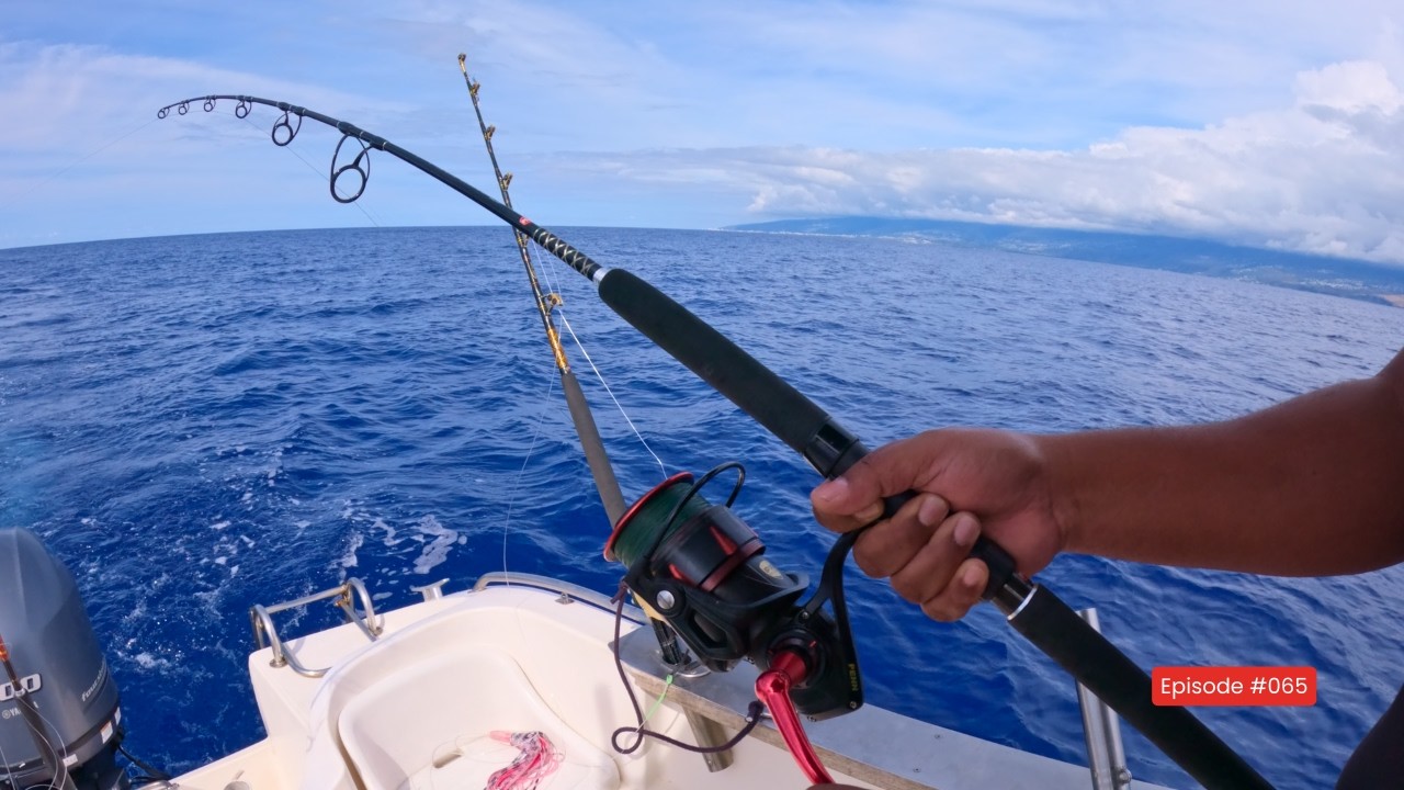 Deux NOVICES face aux BONITES : ça promet 😅🎣