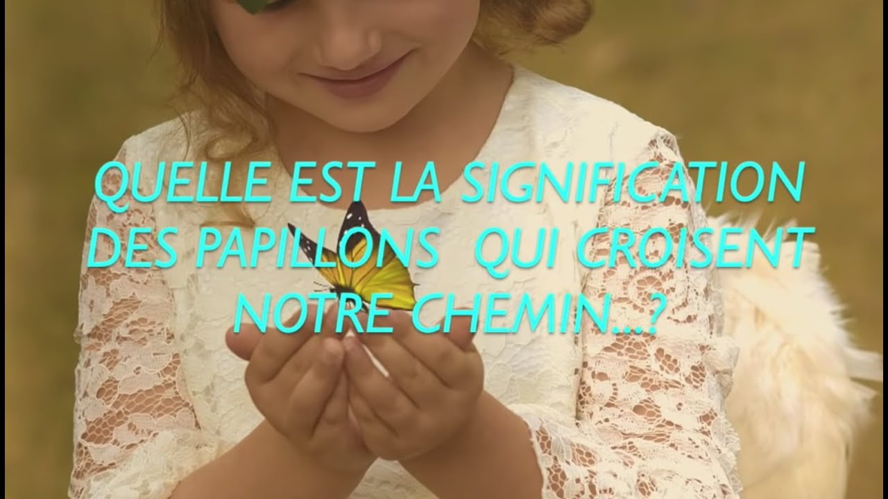 Quelle est la signification des papillons qui croisent notre chemin ?