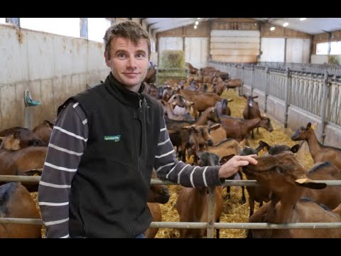 Travailler avec DeLaval, c'est notre choix ! GAEC La Beulière - Elevage caprins