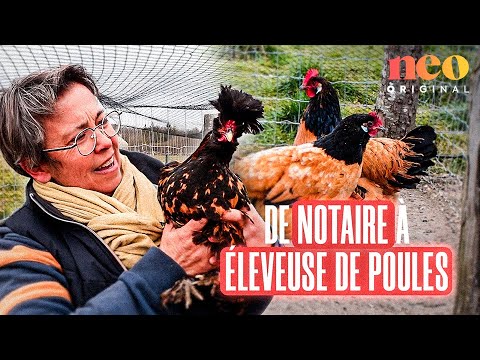 Ancienne notaire, Manuela est devenue éleveuse de poules