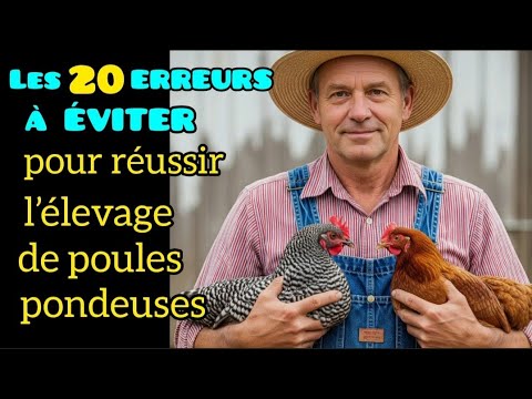 Découvrez les 20 ERREURS à ÉVITER pourélever des poules pondeuses avec succès.