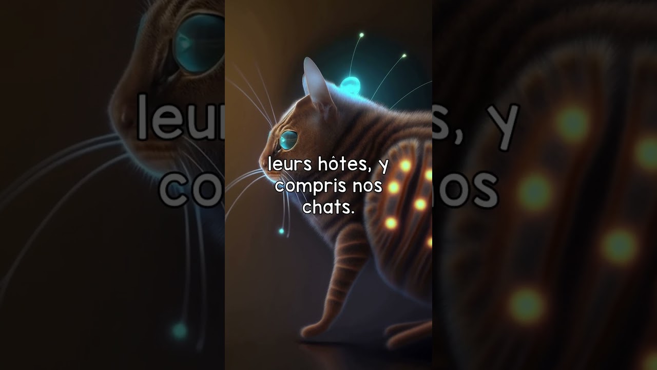 Les tiques sont dangereuses pour nos chats ! #chats