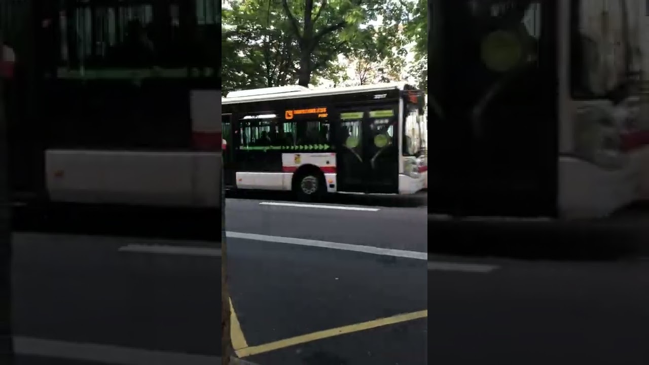 Passage d’un Irisbus Citelis 12 ligne C9 à Bellecour A. Poncet - TCL Lyon