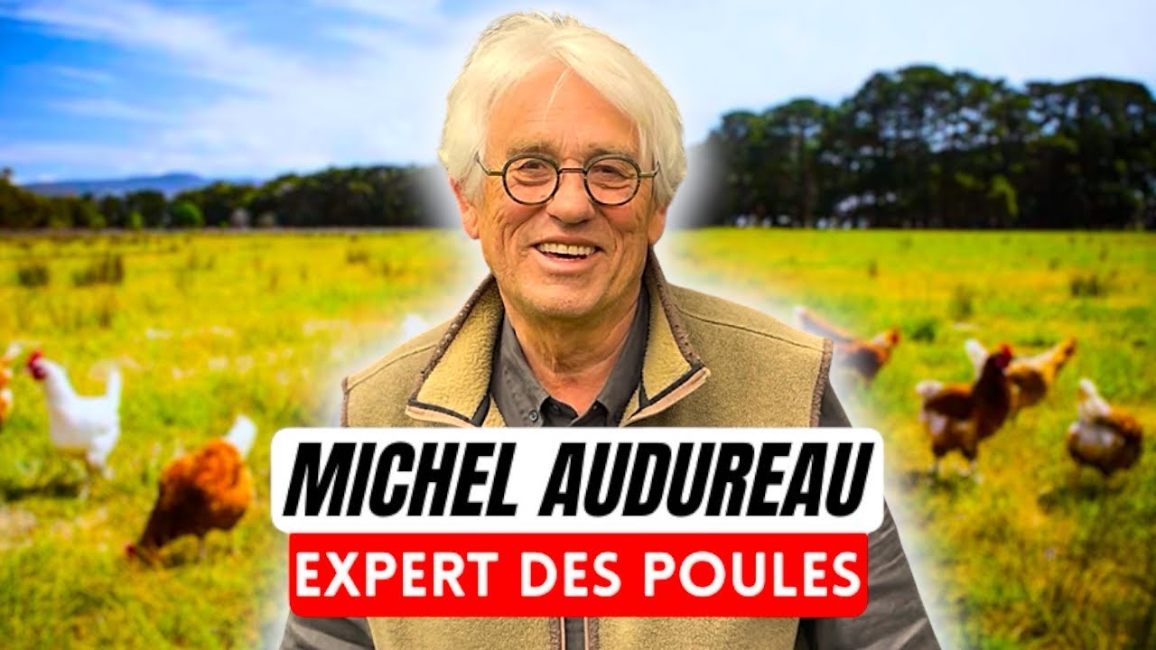 Les meilleurs conseils pour s’occuper des poules ! (Tout y est !)
