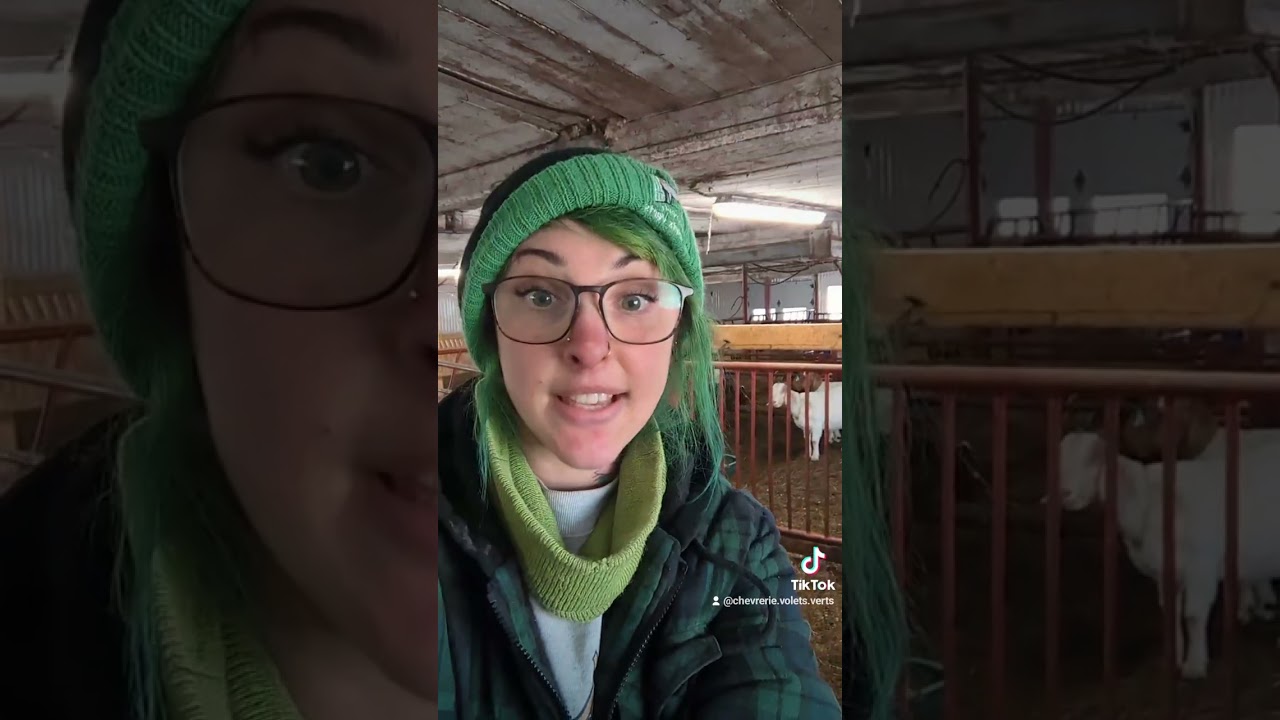 Saviez-vous que : les races de chèvre