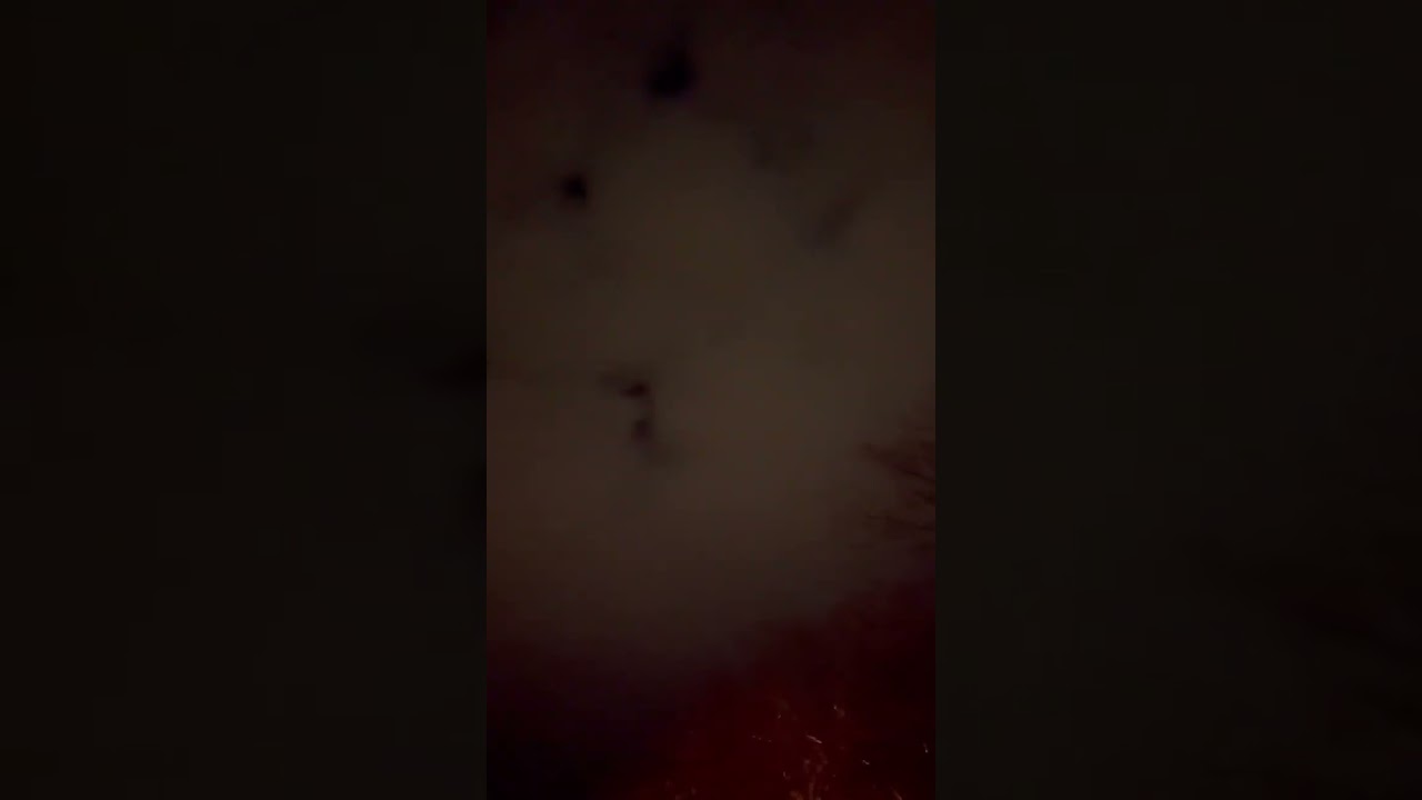 Drôle de phénomène lumineux dans le ciel de Cognac