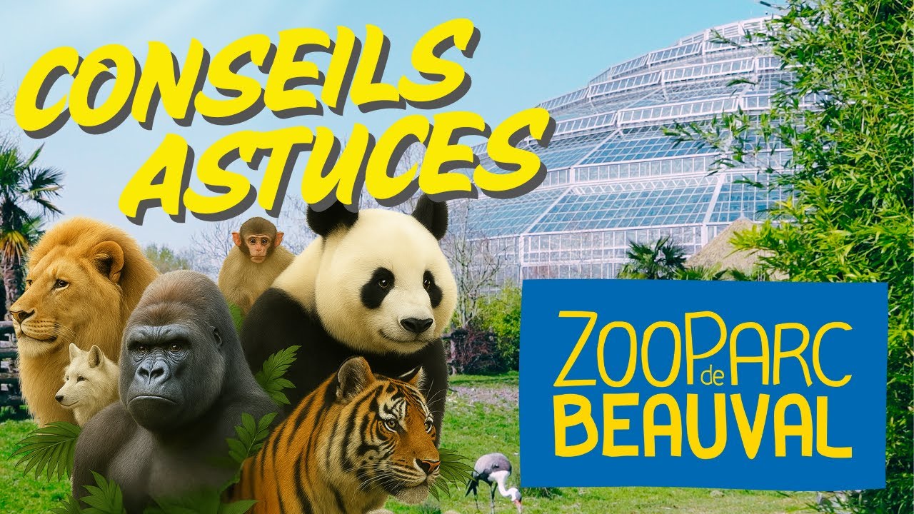 Le ZOO de BEAUVAL : NOS CONSEILS POUR UN SÉJOUR RÉUSSI