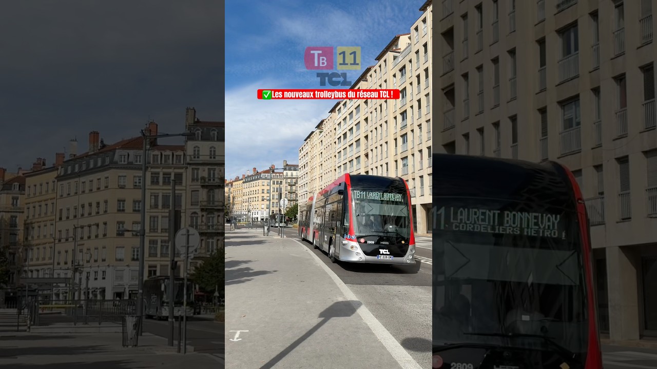 🚎Les nouveaux trolleybus TCL ! #lyon #tcl #trolleybus #mobility