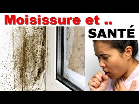 MOISISSURES sur les MURS et Conséquences sur la SANTÉ – 10 Symptômes