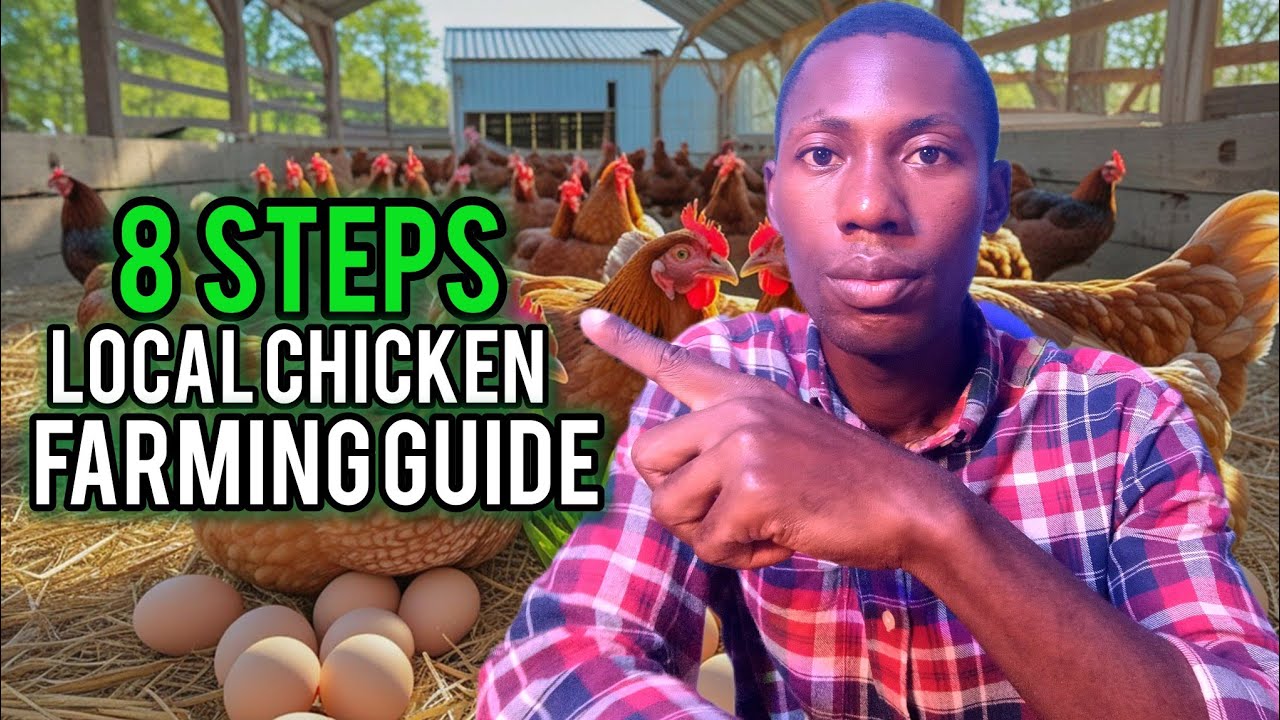 How to Raise Local Chickens at Home | Complete Step-by-Step Guide