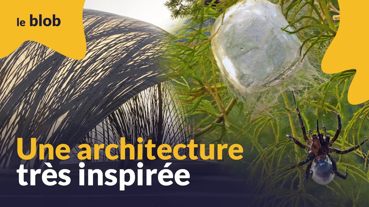 Une architecture très (bio)inspirée | Nature = Futur !