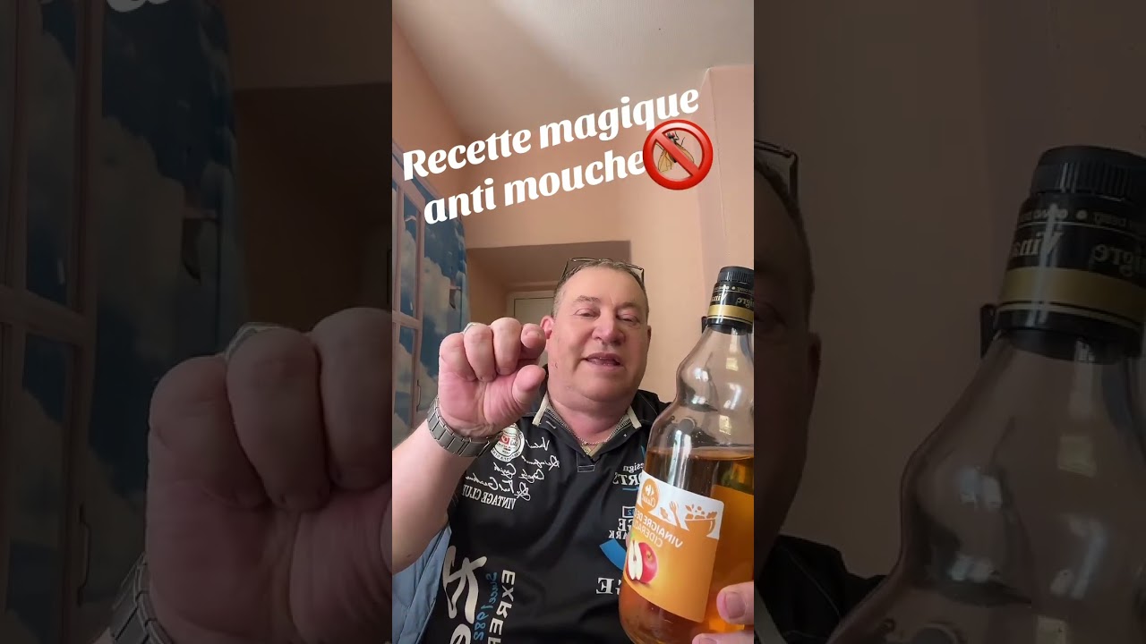 Recette magique anti moucherons mouche mélange, miracle pour éloigner et supprimer les insectes ￼