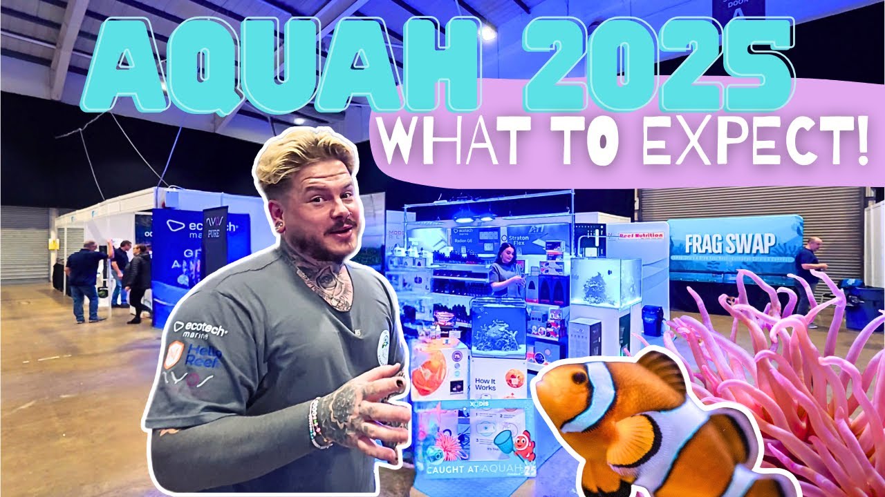 Aquah 2025 Pre Show Walk Around! The UK's Largest Aquatic Show