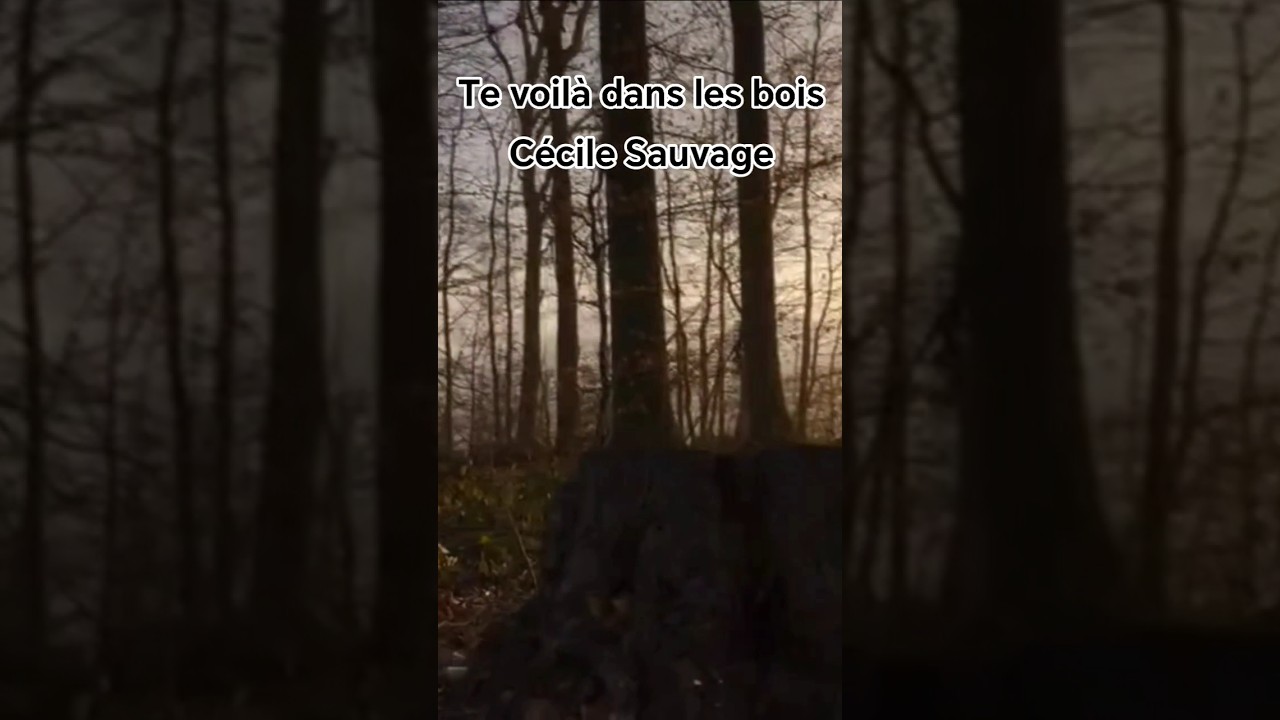 Te voilà dans les bois /Cécile Sauvage #poèmes#nature #melancolie #cecilesauvage
