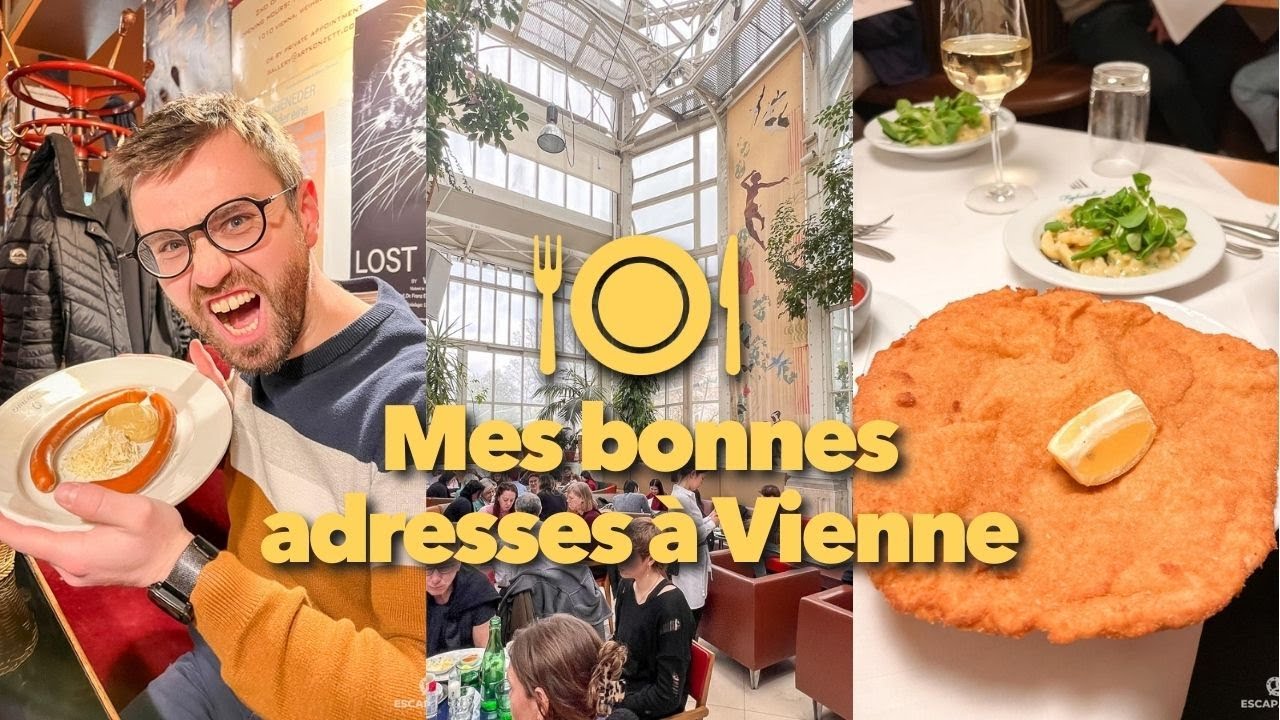 😋 7 restaurants et bars pour se régaler à Vienne, en Autriche