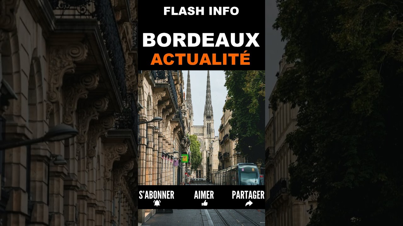 Chaos à Bordeaux- 58% des vols annulés aujourd'hui!