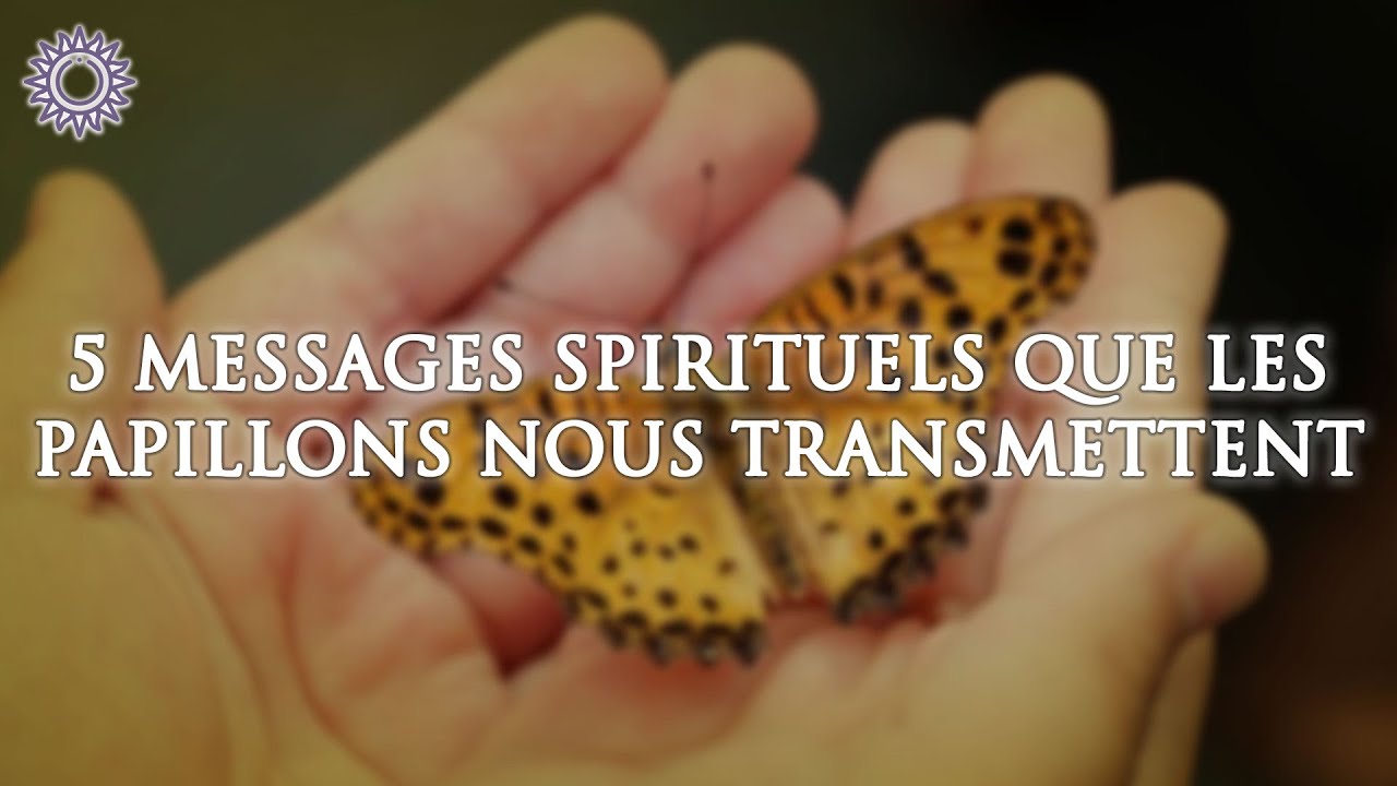 🦋 5 MESSAGES SPIRITUELS QUE LES PAPILLONS NOUS TRANSMETTENT