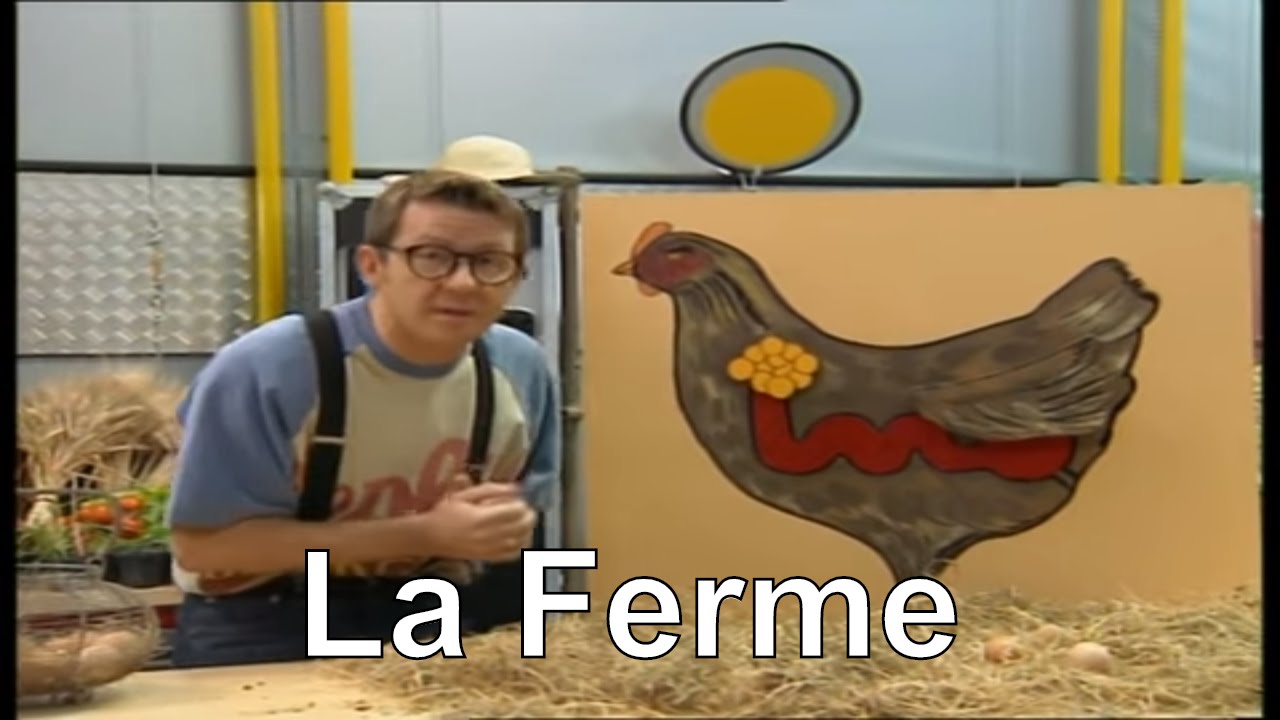 Comment se forme un oeuf de poule ? - C'est pas sorcier