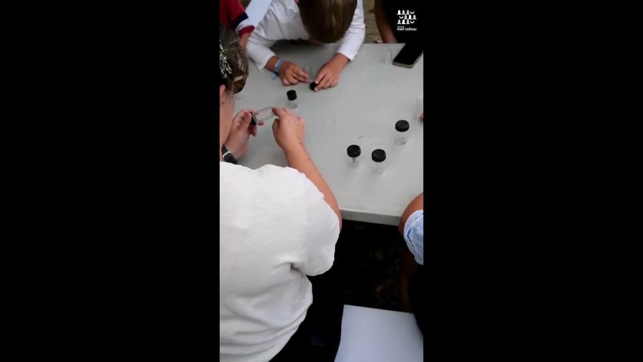 Ville de Pont-Château - Entomologie Vallon Des Butineurs 2025