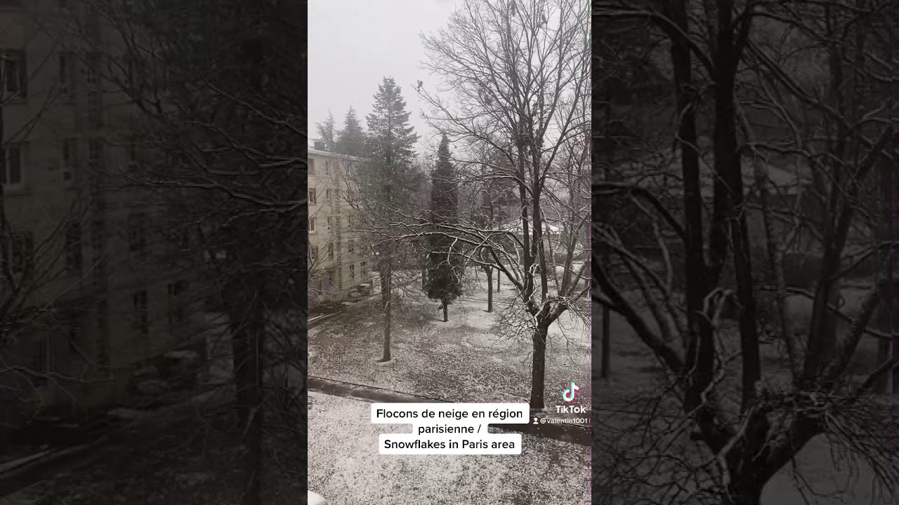 Flocons de neige en région parisienne / Snowflakes in Paris area