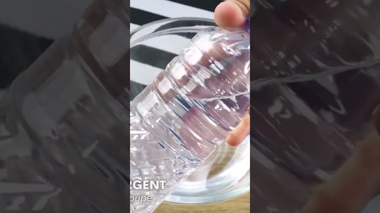 Remède maison qui élimine les puces et les tiques des chiens et des chats