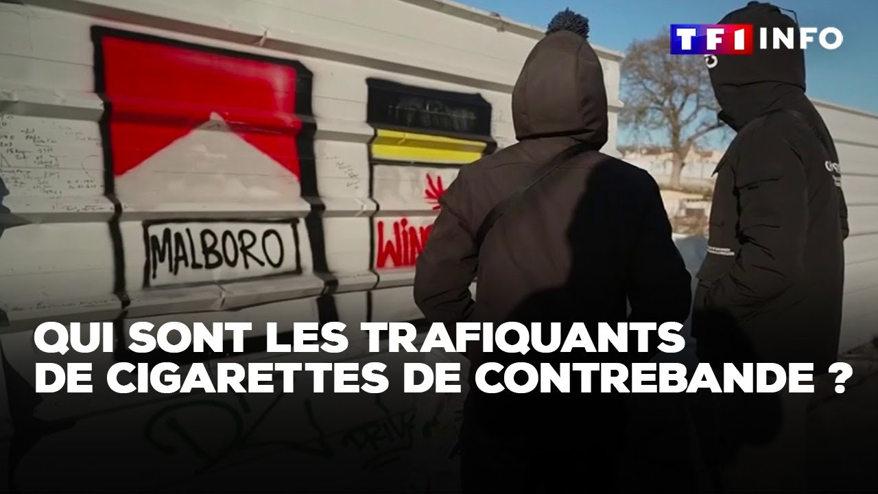Qui sont les trafiquants de cigarettes de contrebande ?｜TF1 INFO
