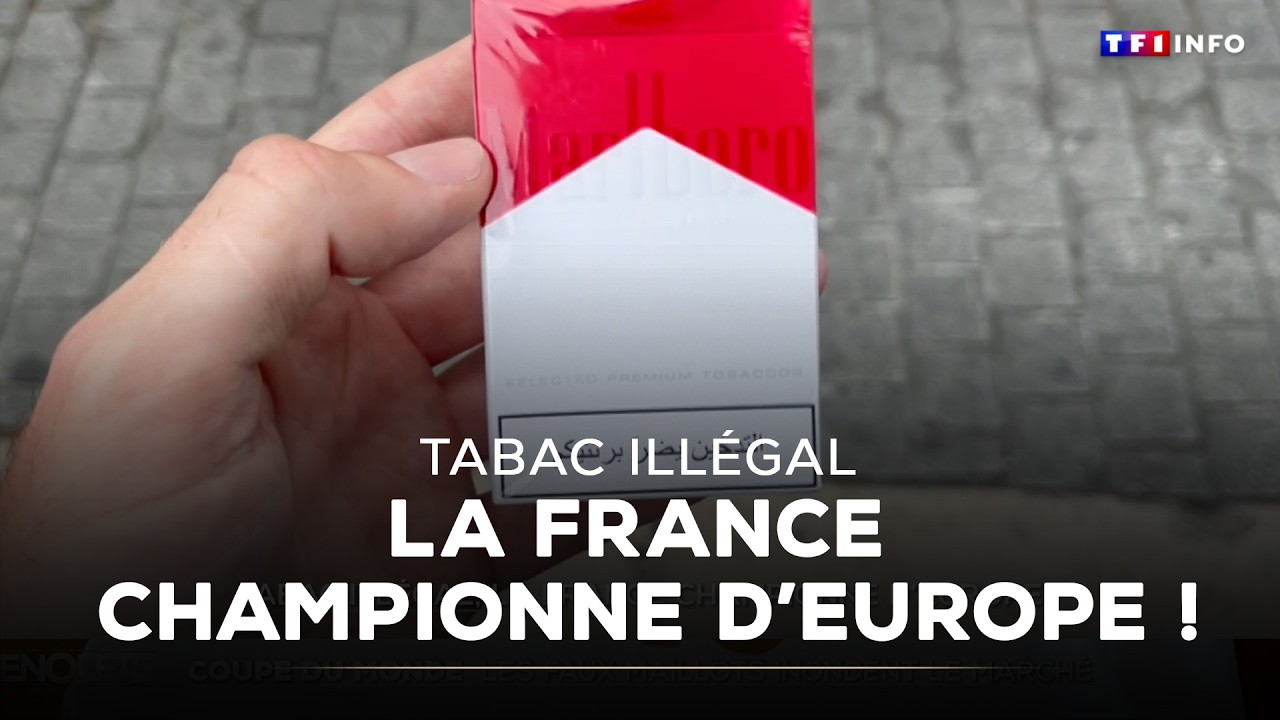 Tabac illégal : la France championne d'Europe !｜TF1 INFO