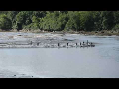©Le Républicain Sud-Gironde