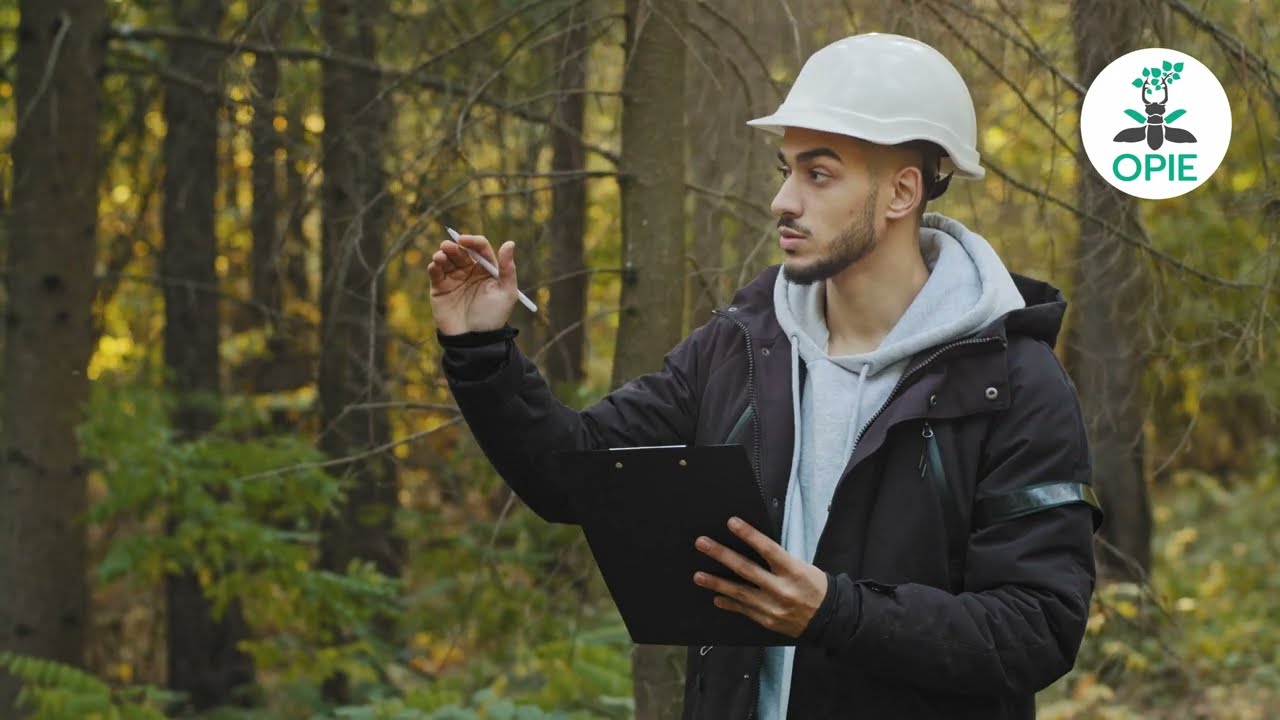 Sensibilisez vos équipes à la préservation des pollinisateurs - Présentation du kit pollinisateurs