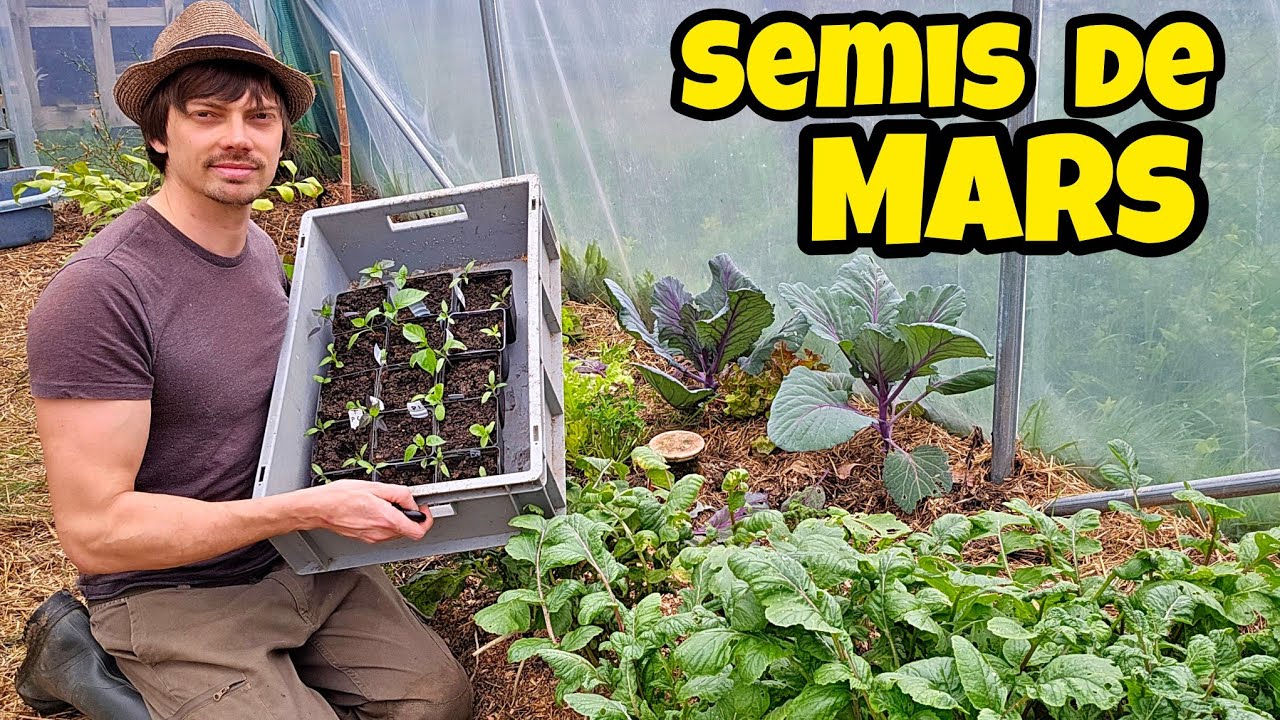 Mars le MEILLEUR mois pour ses 8 SEMIS au potager