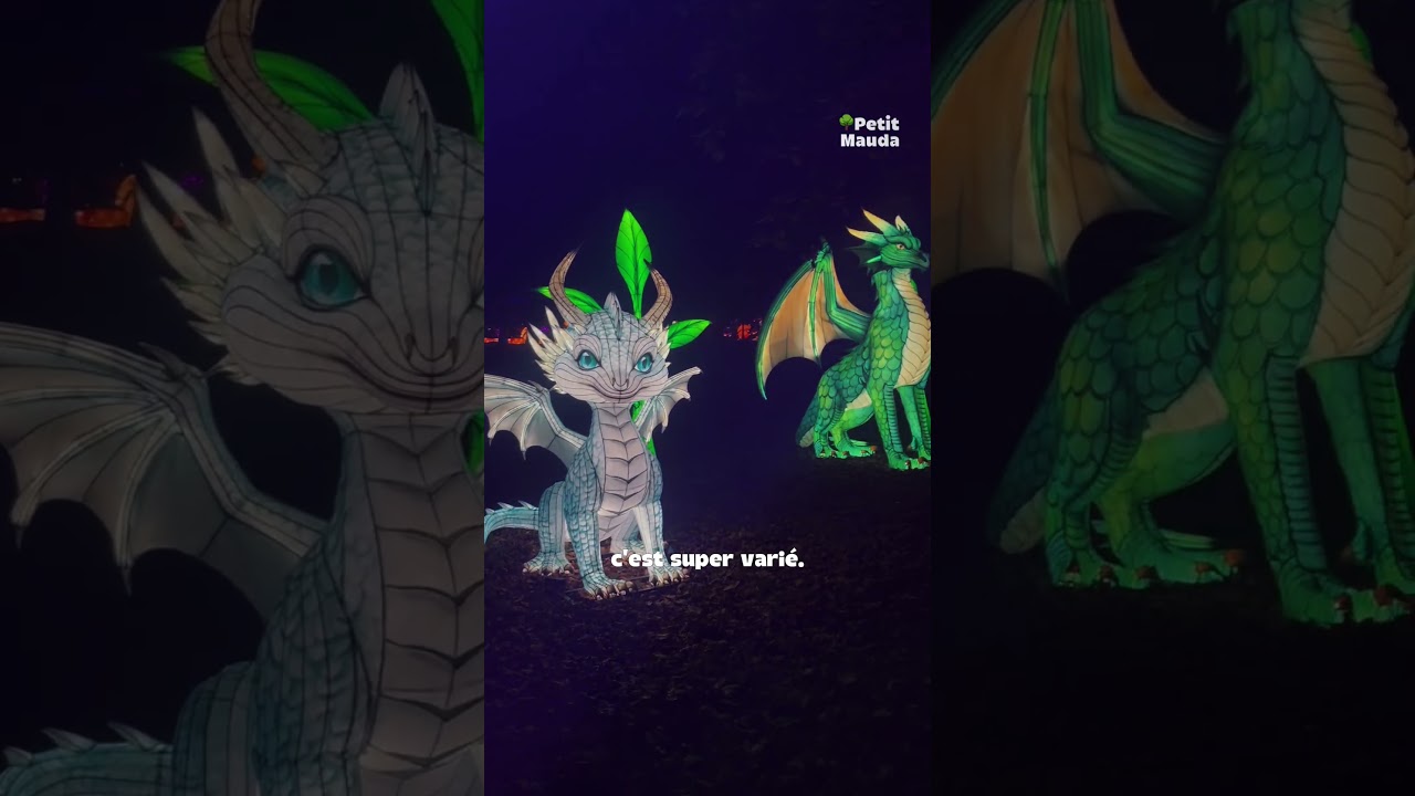 🎄 L’Odyssée Lumineuse au Parc Floral 2025 ✨