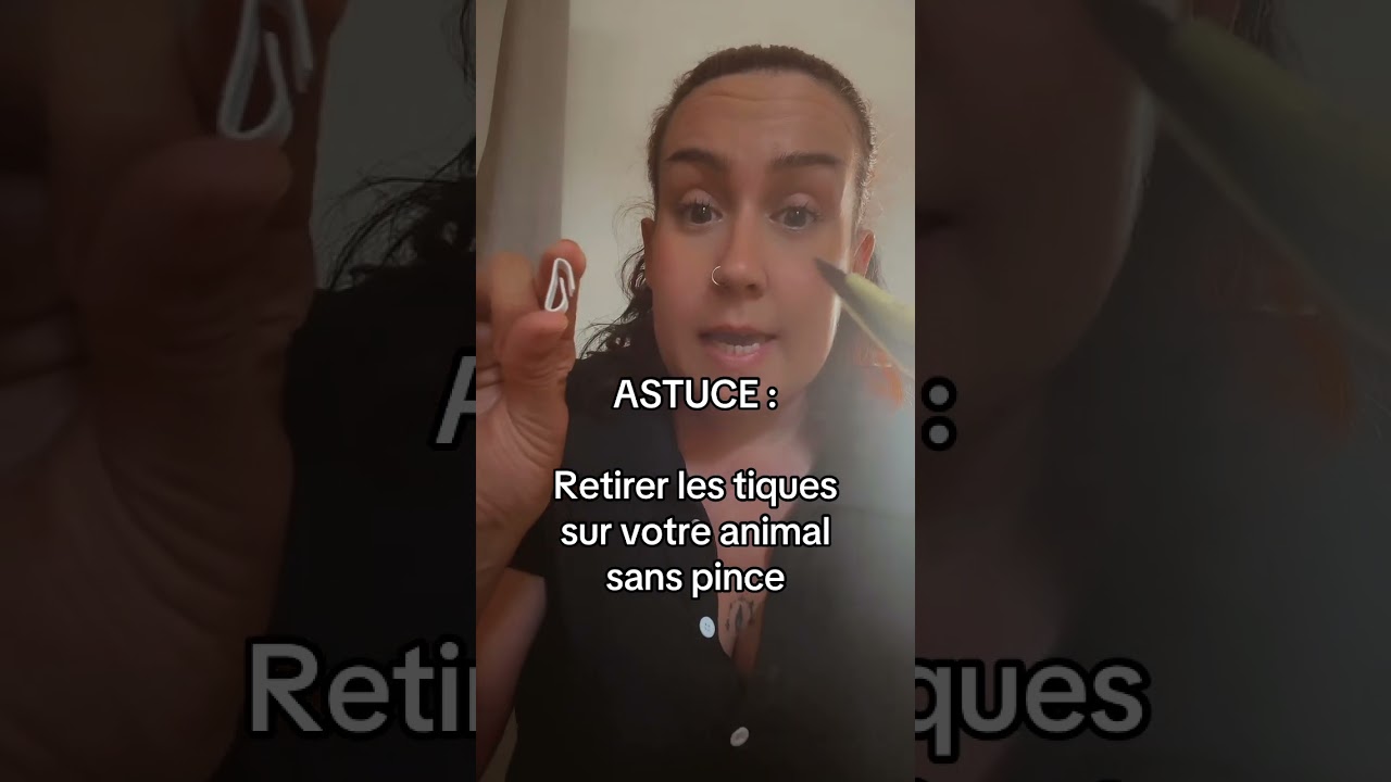 Enlever les tiques sans pince