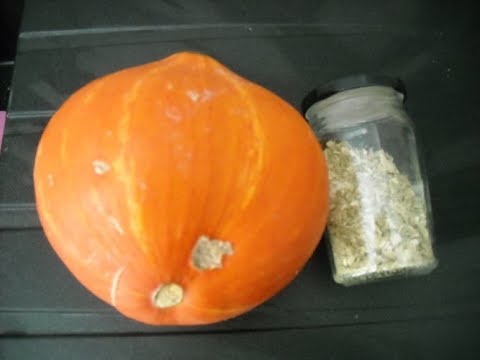 Voici un tutoriel pour préparer un vermifuge naturel pour chat très efficace