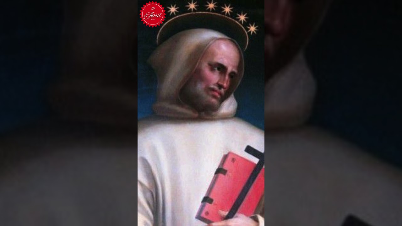 #saintdujour 【SAINT HUGUES DE GRENOBLE】#évêque #grenoble  #orapronobis1