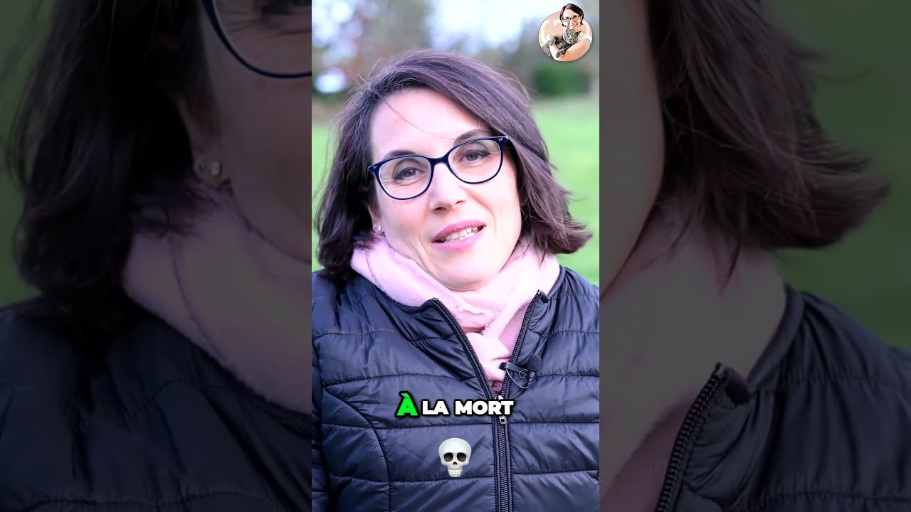 La perte d'un animal de compagnie: Une épreuve émotionnelle