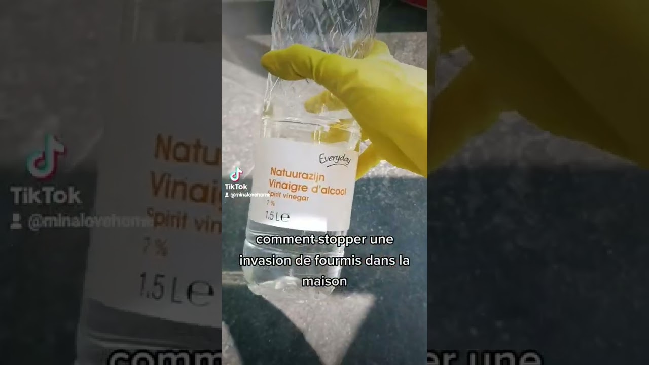 actuce comment stopper les #fourmis #actucedegrandmere #cleaning #maisonpropre