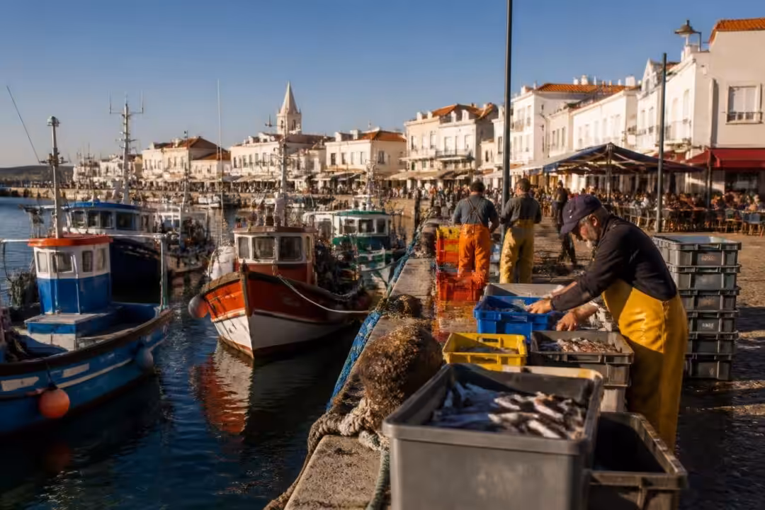 découvrez tout ce qu'il faut savoir sur les actions à saint-gilles-croix-de-vie : informations pratiques, événements locaux et conseils pour bien profiter de cette commune dynamique.