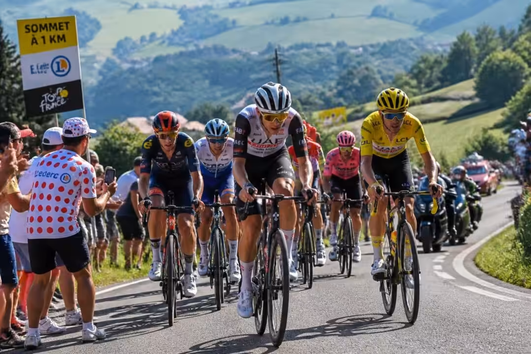 suivez toute l'actualité du tour de france en direct sur 78actu et actu.fr : résultats, étapes, interviews et analyses pour les passionnés de cyclisme.